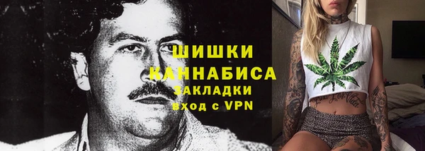 стаф Волоколамск