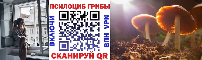Галлюциногенные грибы мицелий Купить закладки Кирсанов
