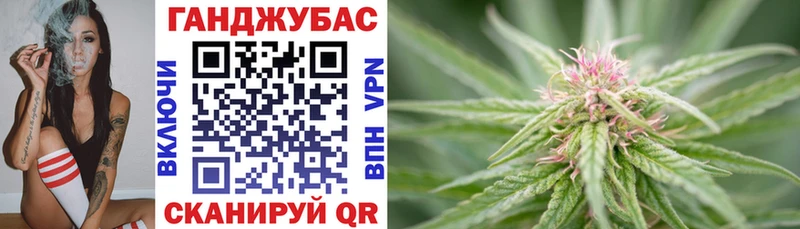 Купить где  Кирсанов  Конопля индика 